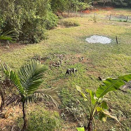 Hostelexp, Gokarna - A Slow-Paced Backpackers Community Gokarna (Karnataka) Exterior foto