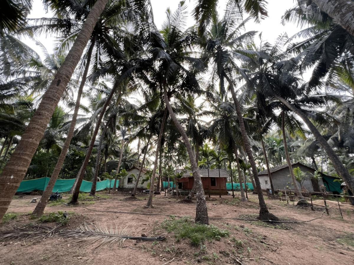 Hostelexp, Gokarna - A Slow-Paced Backpackers Community Gokarna (Karnataka) Exterior foto