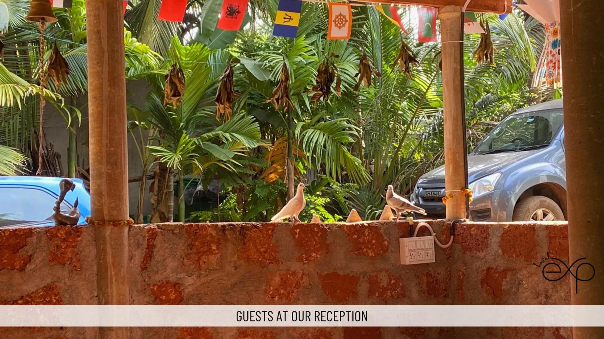 Hostelexp, Gokarna - A Slow-Paced Backpackers Community Gokarna (Karnataka) Exterior foto