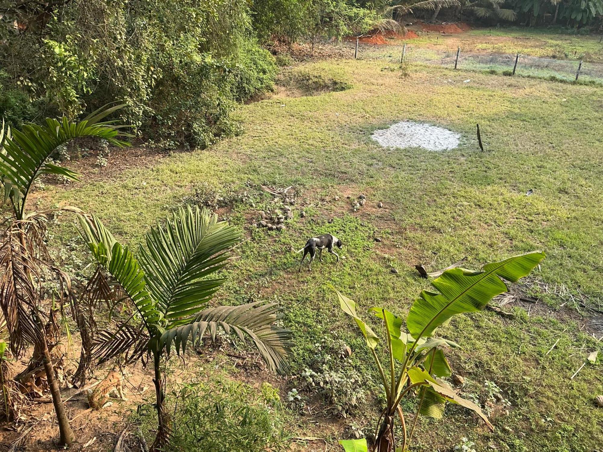Hostelexp, Gokarna - A Slow-Paced Backpackers Community Gokarna (Karnataka) Exterior foto